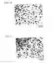 Fig. 09 - Spheroidizing agent of graphite