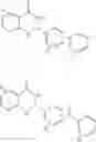 Fig. 12 - Methods of determining βtubulin expression