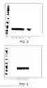 Fig. 03 - Conjugates of hydroxyalkyl starch and a protein, prepared by reductive amination
