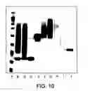 Fig. 09 - Conjugates of hydroxyalkyl starch and a protein, prepared by reductive amination