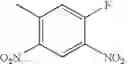 Fig. 41 - Conjugates of hydroxyalkyl starch and a protein, prepared by reductive amination