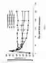 Fig. 08 - Immunogenic composition and methods