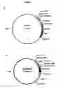 Fig. 02 - Archaeon expression system