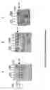 Fig. 11 - Archaeon expression system