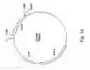 Fig. 02 - Method for treating nerve injury and vector construct for the same