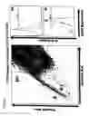 Fig. 02 - Methods for purifying hematopoietic stem cells