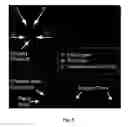 Fig. 04 - CELLULAR ENCAPSULATION FOR SELF-ASSEMBLY OF ENGINEERED TISSUE