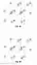 Fig. 05 - CELLULAR ENCAPSULATION FOR SELF-ASSEMBLY OF ENGINEERED TISSUE