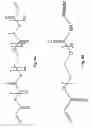 Fig. 07 - CELLULAR ENCAPSULATION FOR SELF-ASSEMBLY OF ENGINEERED TISSUE