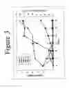 Fig. 06 - Differentiation of adipose stromal cells into osteoblasts and treating bones