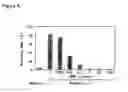 Fig. 07 - Method of inducing the differentiation of stem cells into myocardial cells
