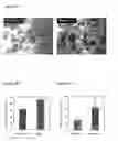 Fig. 08 - Method of inducing the differentiation of stem cells into myocardial cells