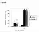 Fig. 09 - Method of inducing the differentiation of stem cells into myocardial cells
