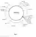 Fig. 02 - Plasmids, their derivatives and fragments, their methods of manufacture and application