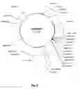 Fig. 12 - Plasmids, their derivatives and fragments, their methods of manufacture and application