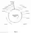 Fig. 19 - Plasmids, their derivatives and fragments, their methods of manufacture and application