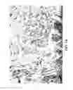 Fig. 19 - Methods of inducing or increasing the expression of proteoglycans such as aggrecan in cells