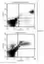 Fig. 06 - Method and composition for producing a cellular allogeneic vaccine