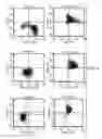 Fig. 07 - Method and composition for producing a cellular allogeneic vaccine