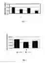 Fig. 02 - Lactobacillus fermentum strain and uses thereof