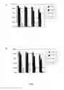 Fig. 03 - Lactobacillus fermentum strain and uses thereof