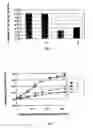 Fig. 05 - Lactobacillus fermentum strain and uses thereof
