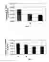 Fig. 06 - Lactobacillus fermentum strain and uses thereof