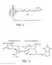 Fig. 02 - Human plasma hyaluronidase