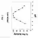 Fig. 02 - Method for prolonging activity of autodegradable enzymes and compositions thereof
