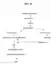 Fig. 08 - Compositions and methods relating to organ-, tissue-, and cell-specific antibodies