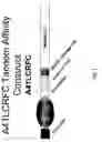 Fig. 08 - Immunomodulatory compositions and uses therefor