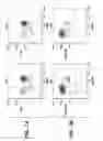 Fig. 05 - Modulation of T Cell Differentiation for the Treatment of T Helper Cell Mediated Diseases