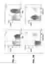 Fig. 06 - Modulation of T Cell Differentiation for the Treatment of T Helper Cell Mediated Diseases