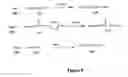 Fig. 09 - Antibody drug conjugates and methods