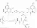Fig. 157 - Antibody drug conjugates and methods