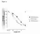 Fig. 04 - Antibodies to TGF-BETA