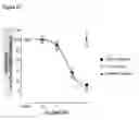 Fig. 06 - Antibodies to TGF-BETA
