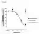 Fig. 09 - Antibodies to TGF-BETA