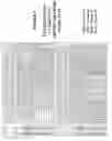 Fig. 05 - Combination therapy and antibody panels