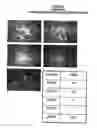 Fig. 02 - Method for predicting response to epidermal growth factor receptor-directed therapy