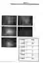 Fig. 03 - Method for predicting response to epidermal growth factor receptor-directed therapy