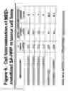 Fig. 07 - Metal-binding therapeutic peptides