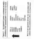 Fig. 08 - Metal-binding therapeutic peptides