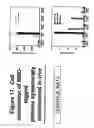 Fig. 18 - Metal-binding therapeutic peptides