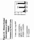 Fig. 23 - Metal-binding therapeutic peptides