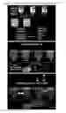 Fig. 31 - Metal-binding therapeutic peptides