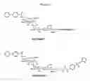 Fig. 08 - Methods and compositions for pharmacologially controlled targeted immunotherapy