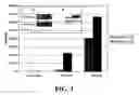 Fig. 04 - Effectors of innate immunity