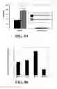 Fig. 06 - Effectors of innate immunity