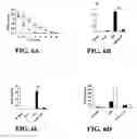 Fig. 07 - Effectors of innate immunity